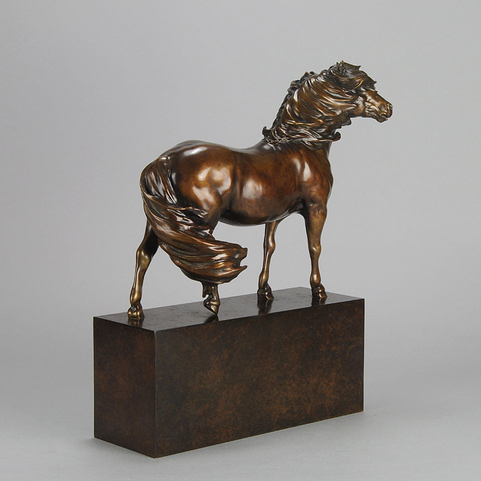 Dartmoor Pony by Nick Bibby