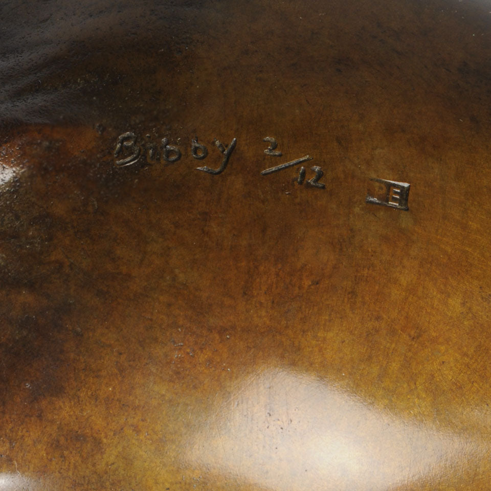 Dartmoor Pony by Nick Bibby