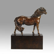 Dartmoor Pony by Nick Bibby