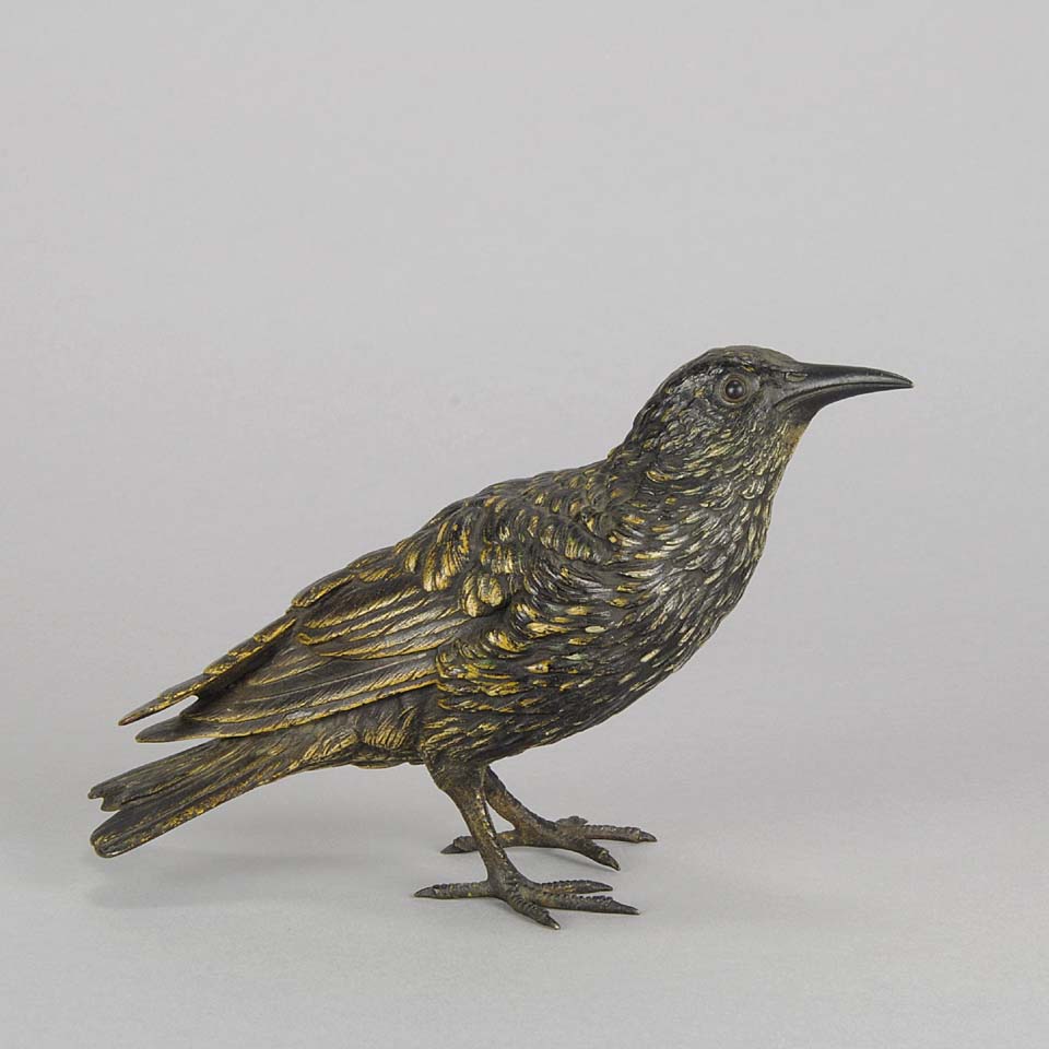 'Starling' by Bergman