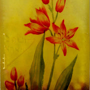 Montbretia Vase by Daum Freres