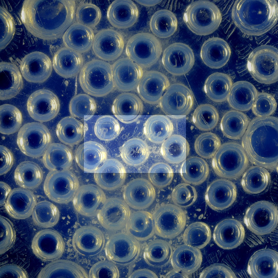 Rene Lalique, Roscoff