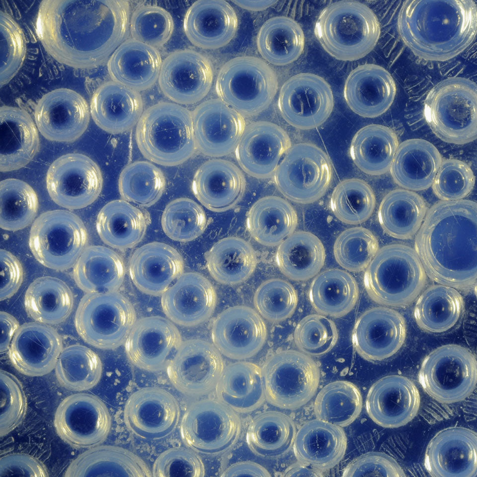 Rene Lalique, Roscoff