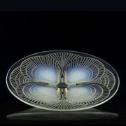 Lalique Plate - Coquilles Nº 1 - Art Deco Glass - Lalique for sale - Lalique Glass for sale - Rene Lalique Glass - Hickmet Fine Arts